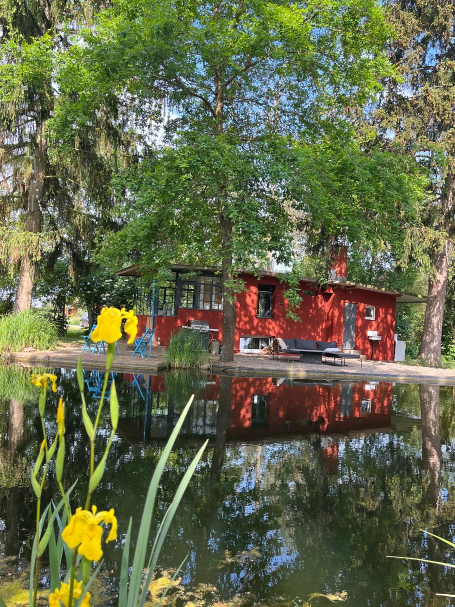 Datscha Am See Вормс Екстер'єр фото